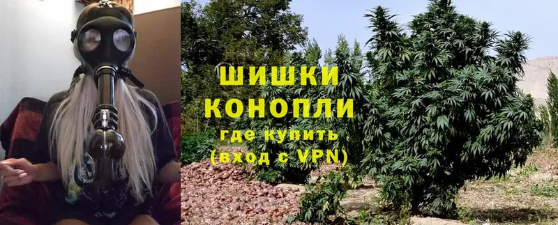 ссылка на мегу как войти  Биробиджан  это состав  Бошки марихуана White Widow 